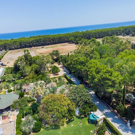 Bio Agriturismo Salos Alimini Luaran gambar