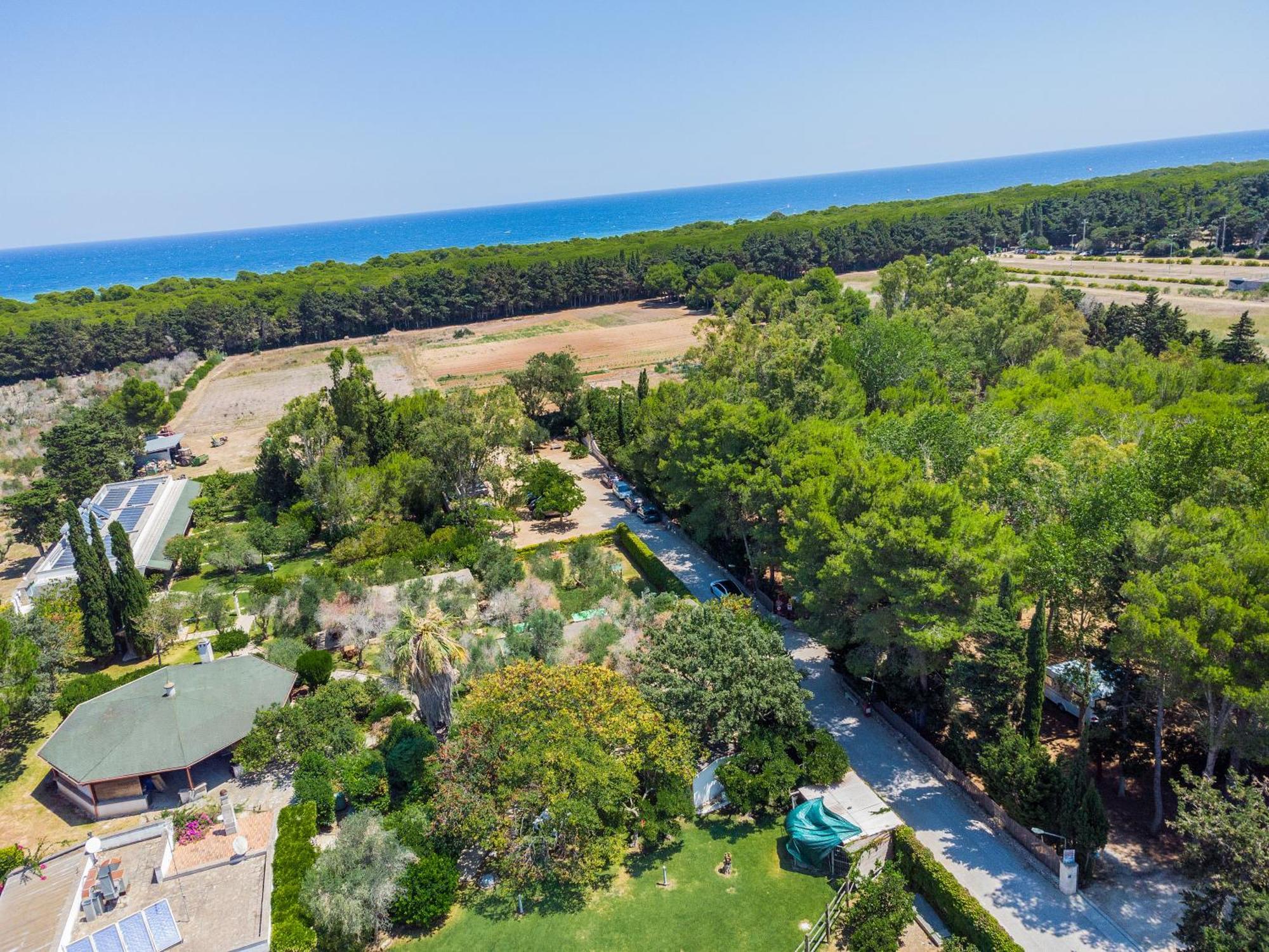 Bio Agriturismo Salos Alimini Luaran gambar