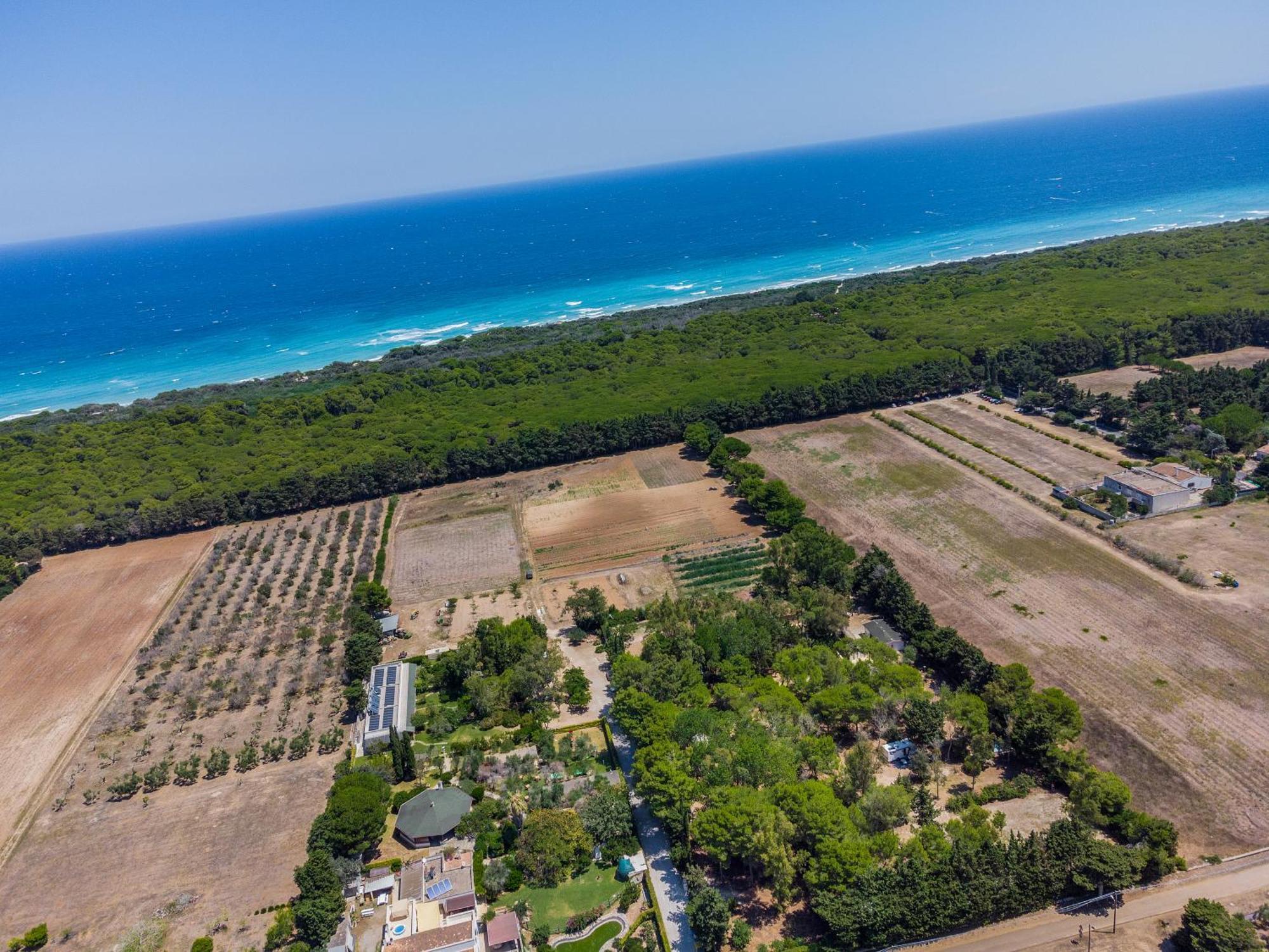 Bio Agriturismo Salos Alimini Luaran gambar